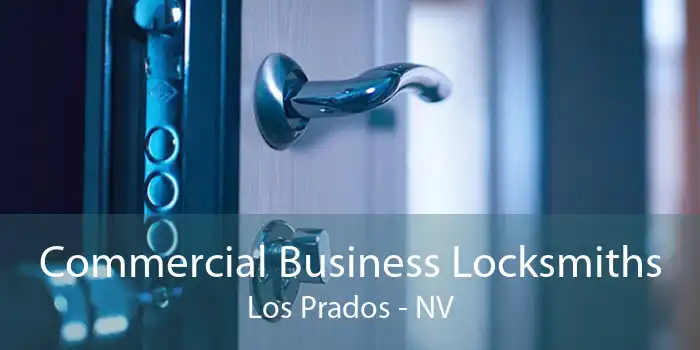 Commercial Business Locksmiths Los Prados - NV