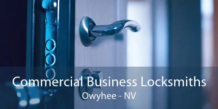 Commercial Business Locksmiths Owyhee - NV