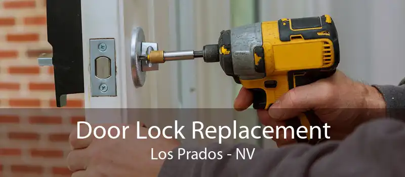 Door Lock Replacement Los Prados - NV