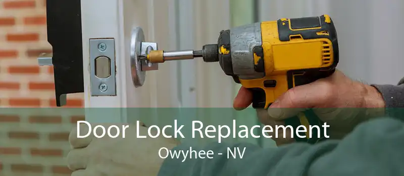 Door Lock Replacement Owyhee - NV