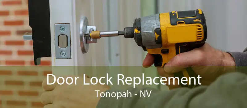 Door Lock Replacement Tonopah - NV