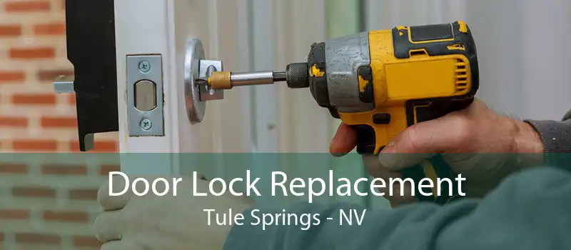 Door Lock Replacement Tule Springs - NV