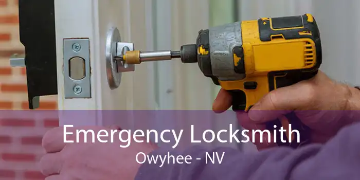 Emergency Locksmith Owyhee - NV