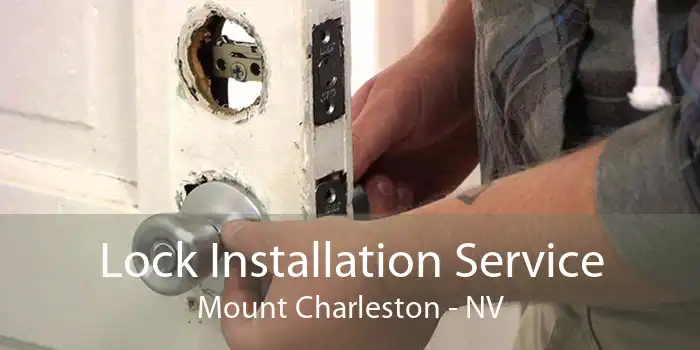 Lock Installation Service Mount Charleston - NV