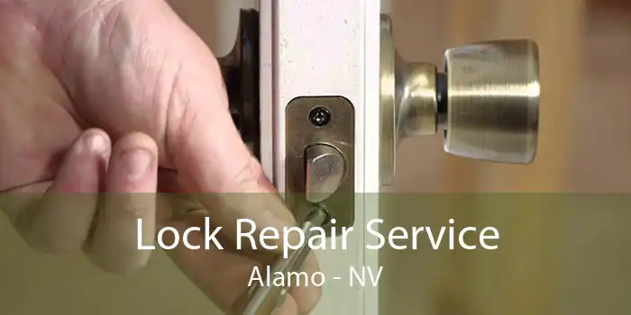 Lock Repair Service Alamo - NV