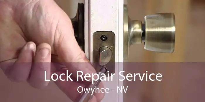 Lock Repair Service Owyhee - NV