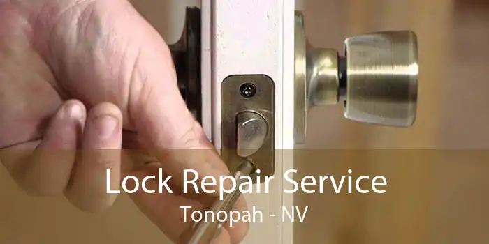 Lock Repair Service Tonopah - NV