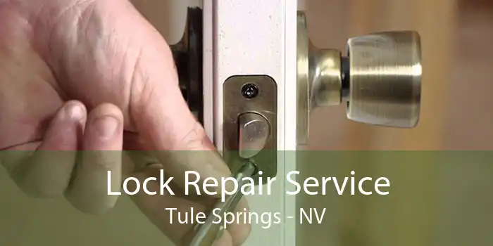 Lock Repair Service Tule Springs - NV