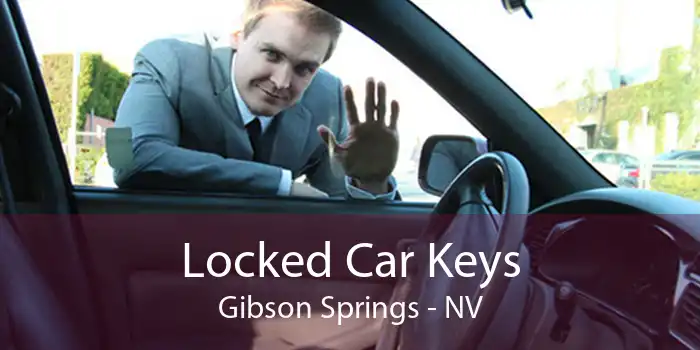 Locked Car Keys Gibson Springs - NV