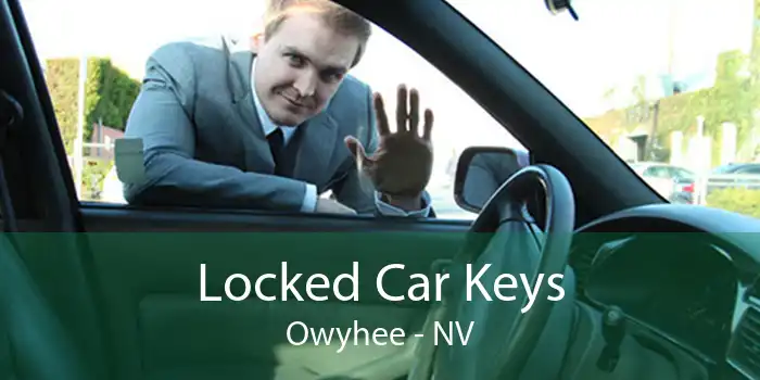 Locked Car Keys Owyhee - NV