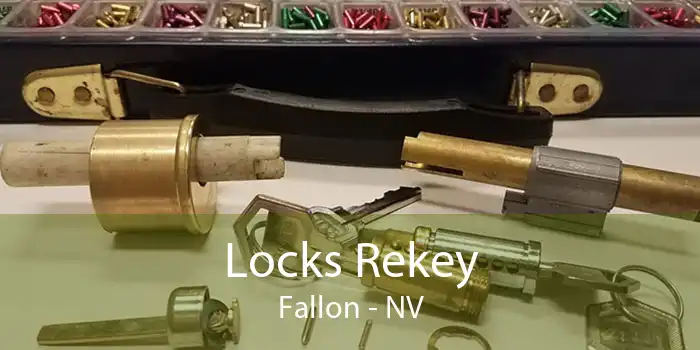 Locks Rekey Fallon - NV