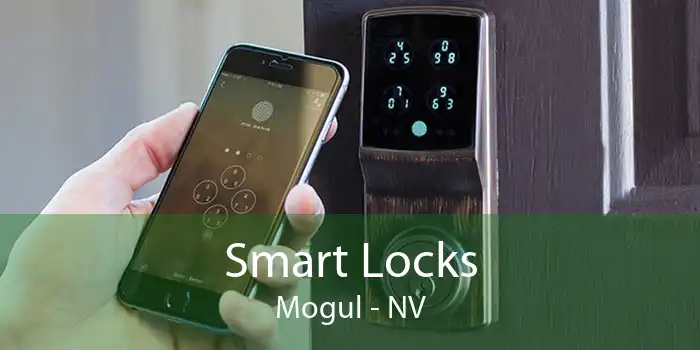 Smart Locks Mogul - NV